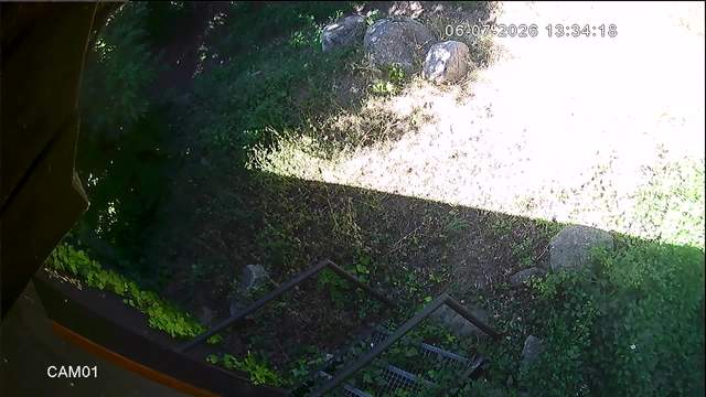 Screenshot from 91.187.73.99:554