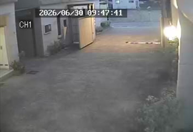 Screenshot from 122.117.92.175:554