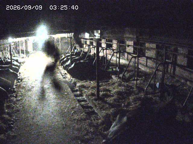 Screenshot from 58.98.95.41:80