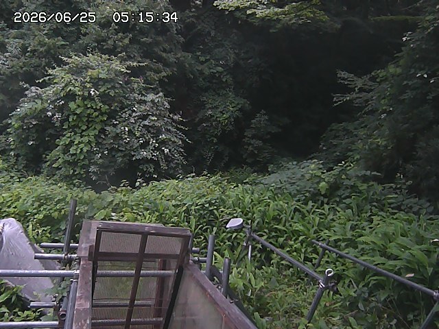 Screenshot from 223.135.236.183:50000