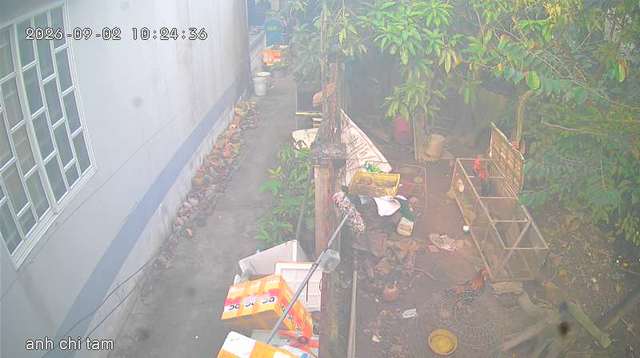 Screenshot from 113.169.143.0:81