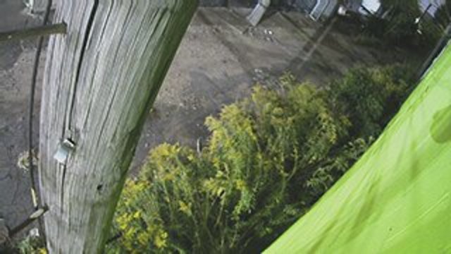 Screenshot from 68.56.167.148:10002