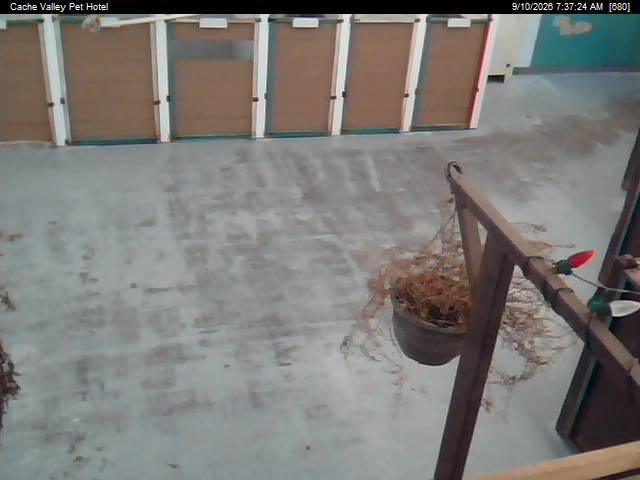 Screenshot from 139.64.168.120:8080
