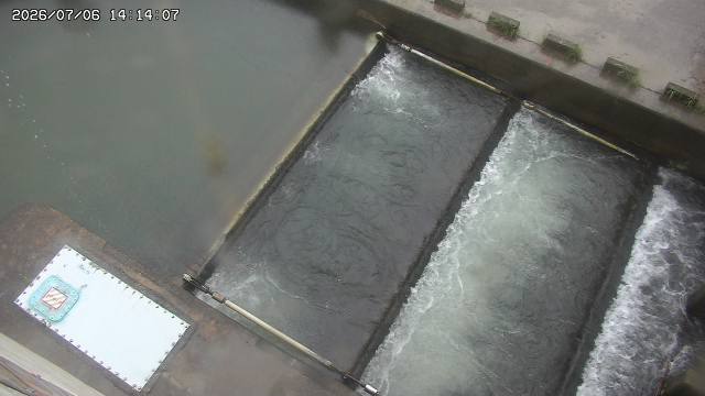 Screenshot from 183.77.121.171:8081