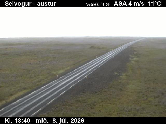 Snapshot from Selvogur — Selvogur til austurs