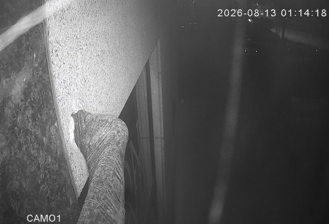 Screenshot from 222.114.88.245:8091
