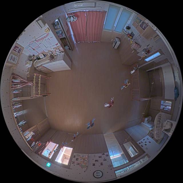 Screenshot from 222.230.119.65:8105