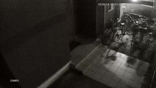 Screenshot from 223.134.32.52:554