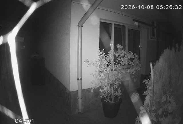 Screenshot from 151.251.160.69:8174