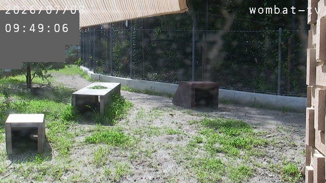 Screenshot from 122.145.231.223:8081