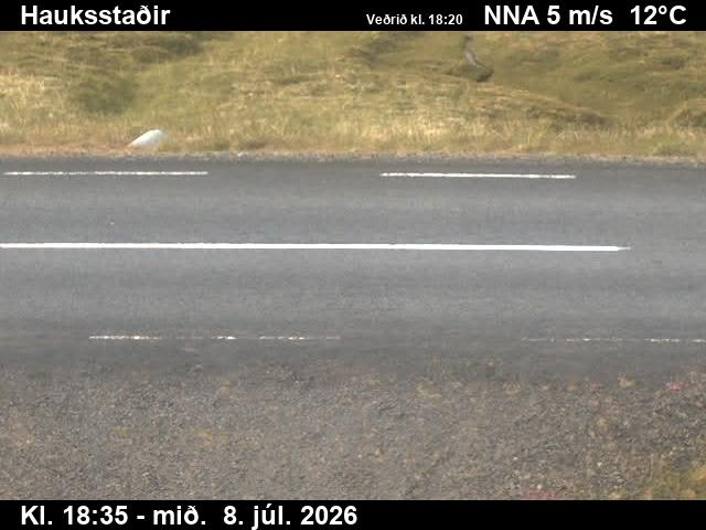Snapshot from Vopnafjarðarleið — Hauksstaðir niður á veg