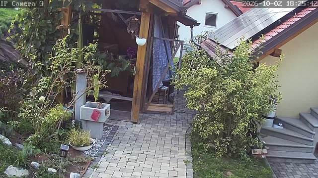 Screenshot from 193.77.50.155:554