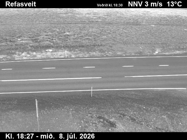 Snapshot from Refasveit — Refasveit