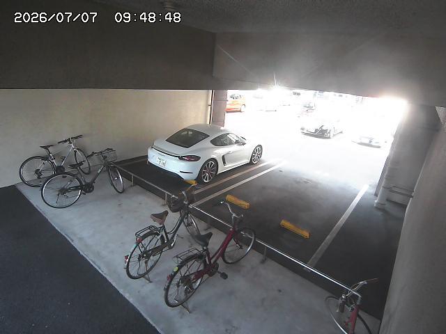 Screenshot from 203.139.95.103:9993