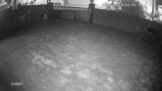 Screenshot from 122.117.38.167:554