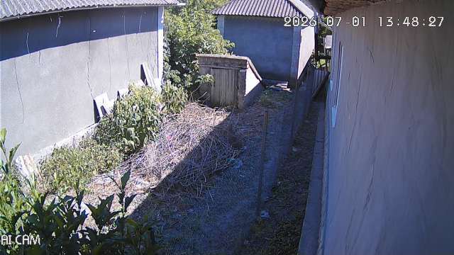 Screenshot from 87.248.168.168:12342
