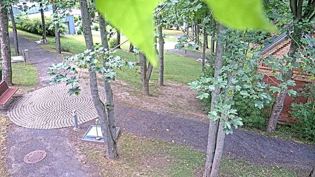 Screenshot from 195.230.164.17:80