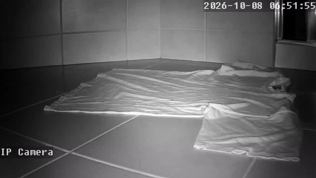 Screenshot from 108.31.126.39:554