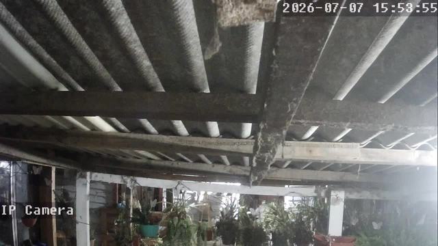 Screenshot from 186.20.113.137:554