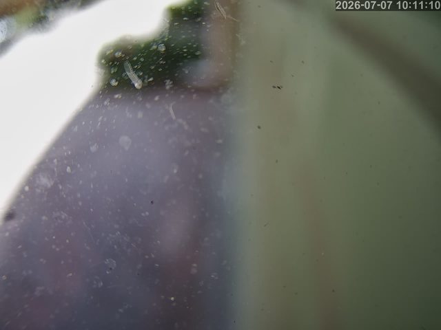 Screenshot from 206.214.132.236:554