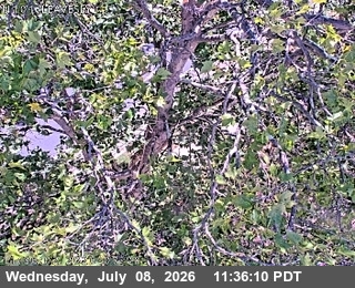 Snapshot from TVB41 -- US-101 : South Of Leavesley Road