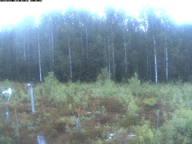 Screenshot from 193.10.98.18:443