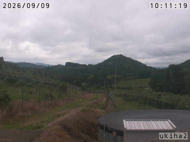 Screenshot from 183.77.155.8:8081