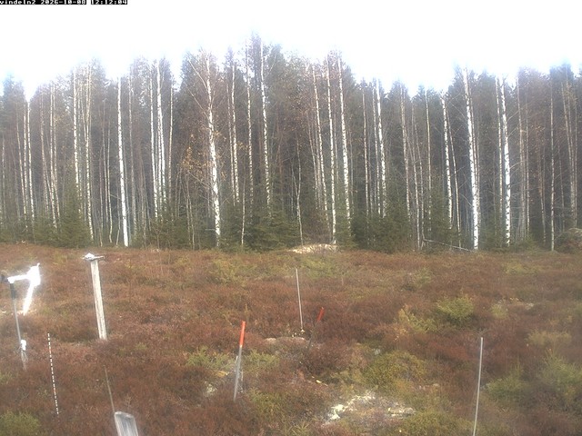 Screenshot from 193.10.98.18:80