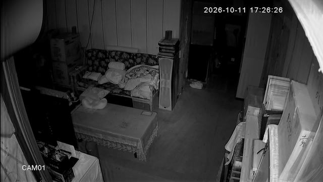 Screenshot from 125.229.177.201:554