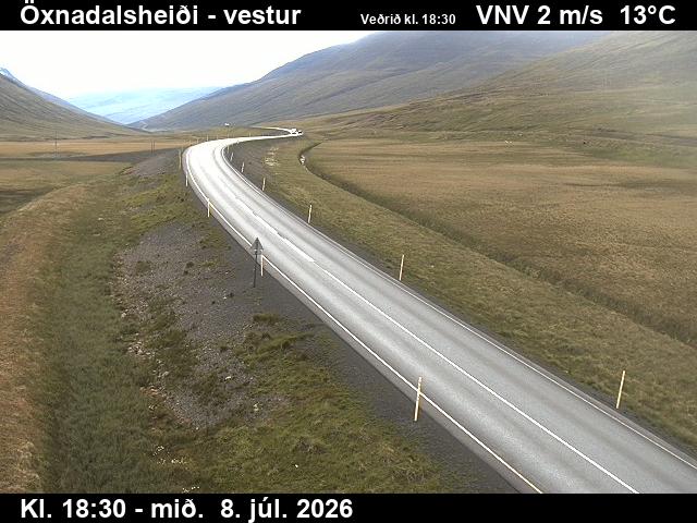 Snapshot from Öxnadalsheiði — Öxnadalsheiði séð til vesturs
