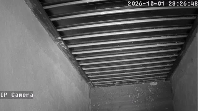 Screenshot from 81.184.243.138:554