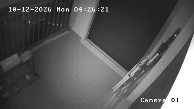 Screenshot from 95.249.44.188:554