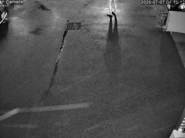 Screenshot from 124.255.217.117:10554