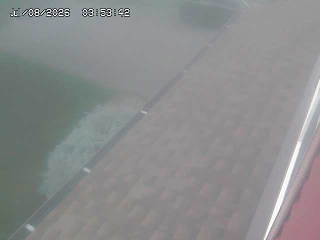 Screenshot from 24.7.199.84:5005