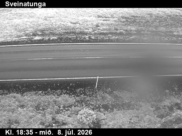 Snapshot from Sveinatunga — Sveinatunga niður á veg