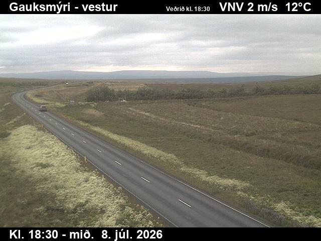 Snapshot from Gauksmýri — Gauksmýri séð til vesturs