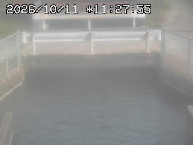 Screenshot from 118.243.177.229:5003