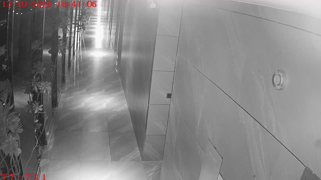 Screenshot from 116.99.205.95:554