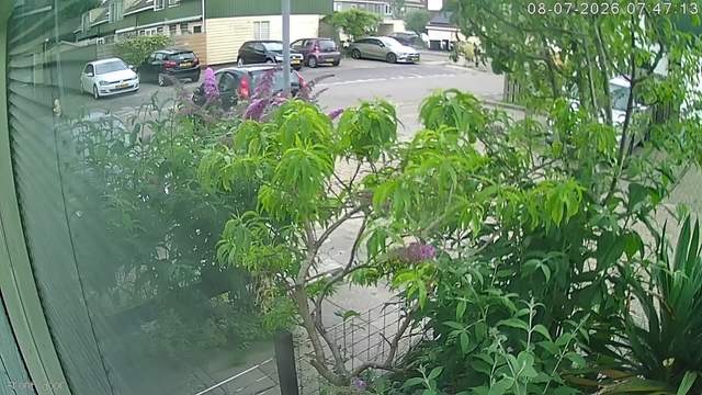 Screenshot from 188.89.241.50:554