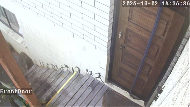 Screenshot from 203.184.39.90:554