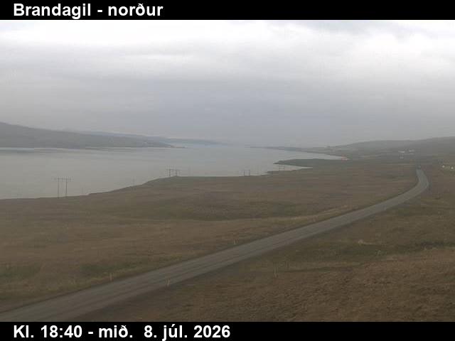 Snapshot from Brandagil — Brandagil til norðurs