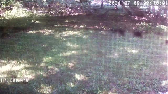 Screenshot from 74.88.252.233:554
