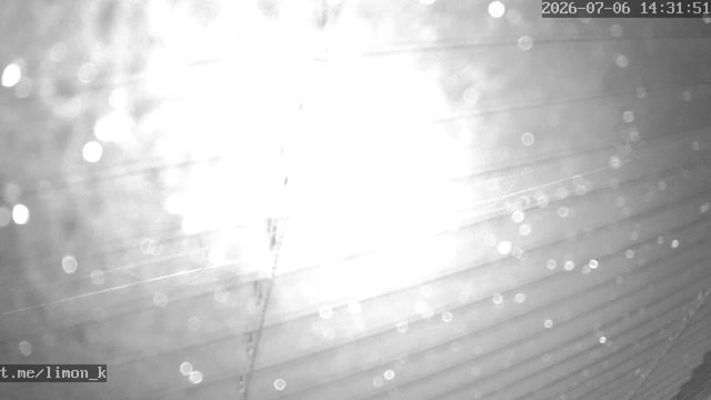 Screenshot from 219.109.106.181:554