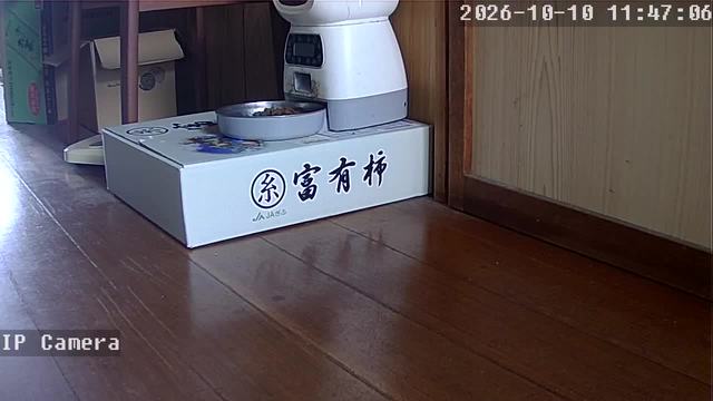 Screenshot from 202.79.141.211:554