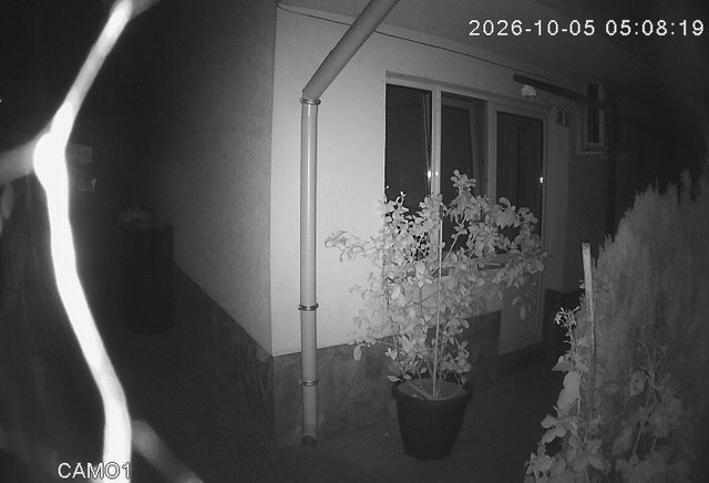 Screenshot from 151.251.160.69:8767
