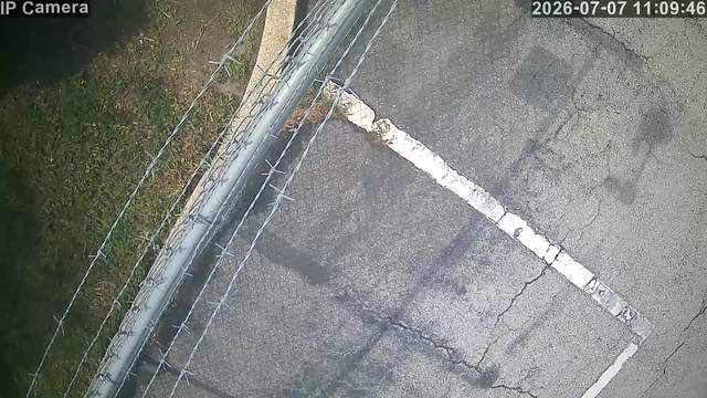 Screenshot from 71.43.213.52:554
