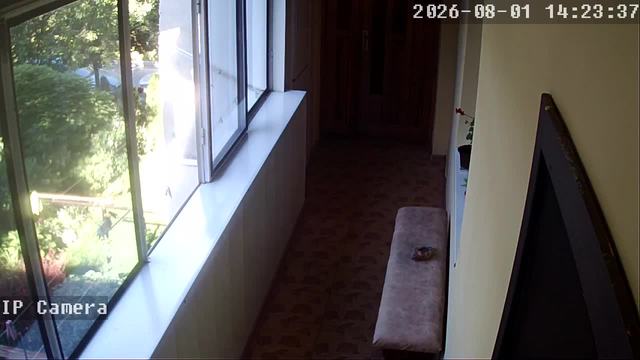 Screenshot from 91.245.119.169:554