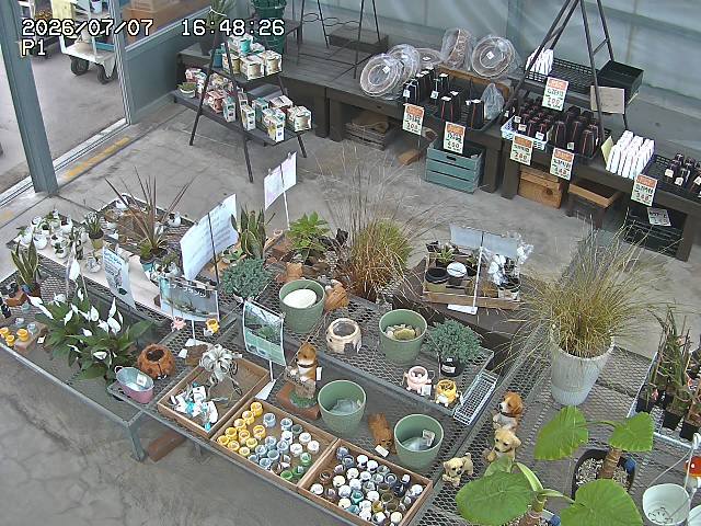 Screenshot from 221.118.121.99:10013
