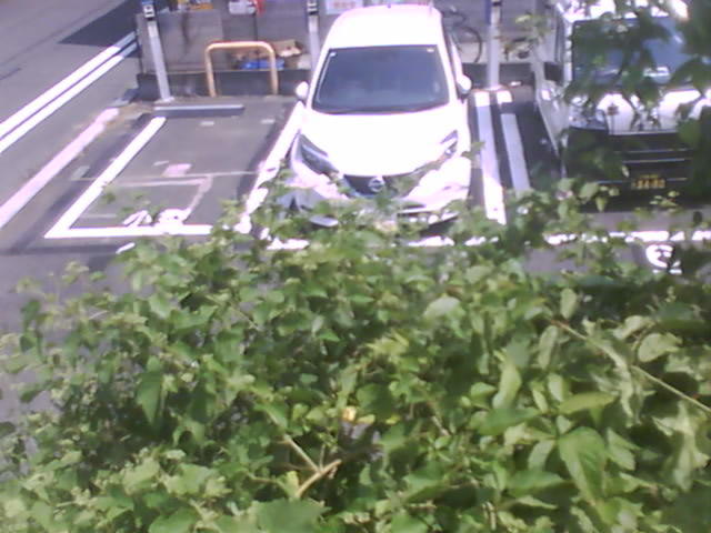 Screenshot from 119.240.184.252:83
