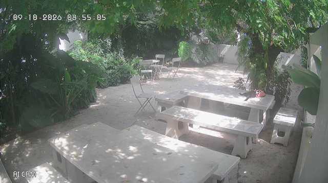 Screenshot from 223.205.100.153:82